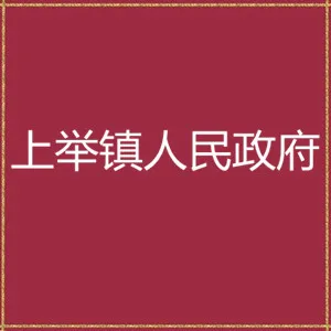 平远县上举镇人民政府
