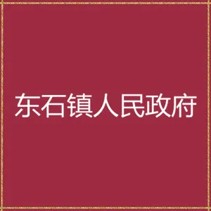 平远县东石镇人民政府