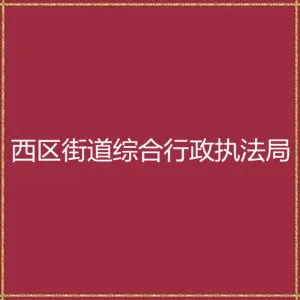 中山市西区街道综合行政执法局
