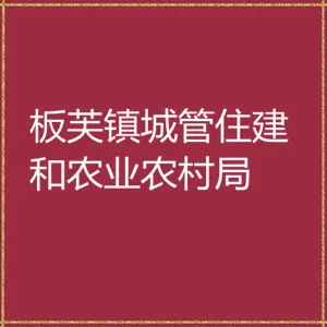 板芙镇城管住建和农业农村局