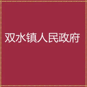 双水镇人民政府