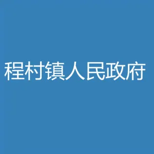 阳西县程村镇人民政府