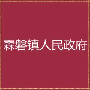 揭阳市揭东区霖磐镇人民政府