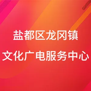 盐都区龙冈镇文化广电服务中心