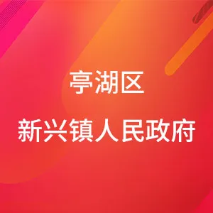 亭湖区新兴镇人民政府