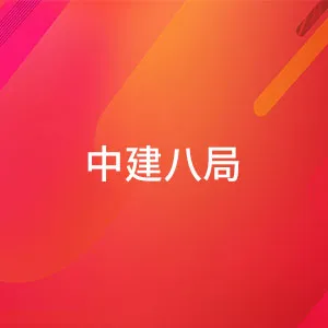 中国建筑第八工程局有限公司