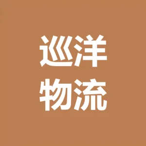 深圳市巡洋国际物流有限公司武汉分公司
