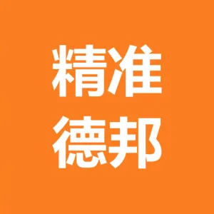 广东精准德邦物流有限公司