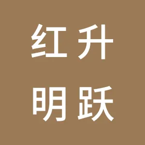 安康红升明跃有限公司