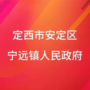 定西市安定区宁远镇人民政府