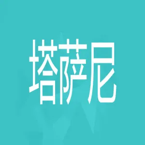 中山市塔萨尼艺术涂料投资有限公司