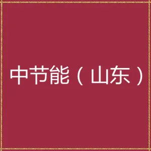 中节能（山东）投资发展有限公司