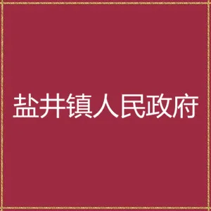 漳县盐井镇人民政府
