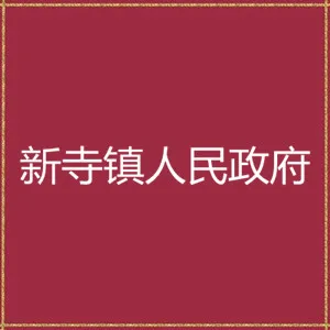 漳县新寺镇人民政府