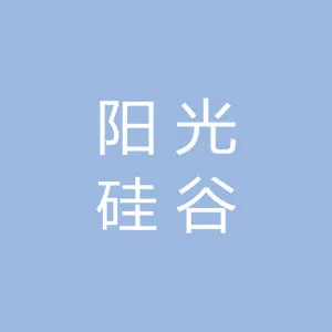 阳光硅谷电子科技有限公司