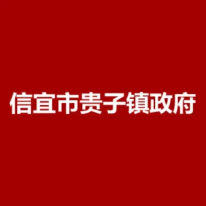 信宜市贵子镇政府