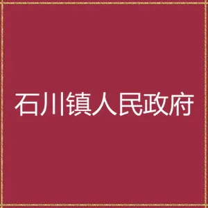 漳县石川镇人民政府