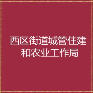 西区街道城管住建和农业工作局