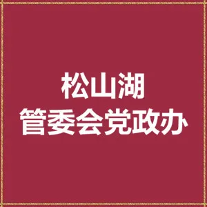 东莞市松山湖管委会党政办公室