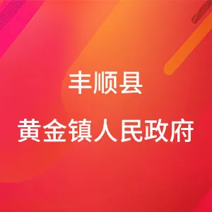丰顺县黄金镇人民政府