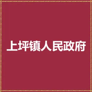 连平县上坪镇人民政府