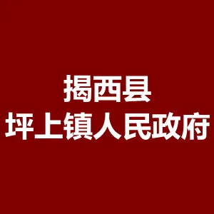 揭西县坪上镇人民政府