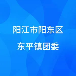共青团阳江市阳东区东平镇委员会