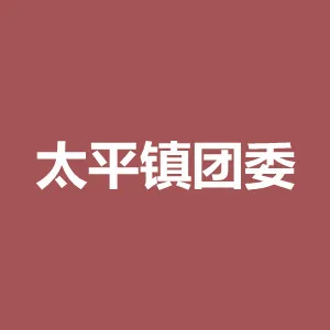 罗定市太平镇政府团委