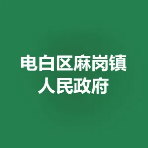 电白区麻岗镇人民政府