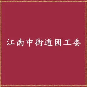海珠区江南中街道团工委