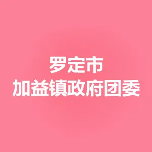 罗定市加益镇政府团委