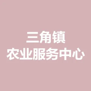 三角镇农业服务中心