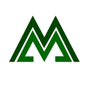 广东美邦控股集团股份有限公司