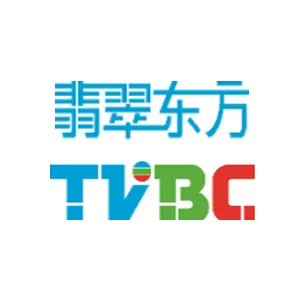 上海翡翠东方网络信息技术有限公司