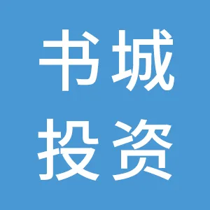 深圳市书城投资控股有限公司