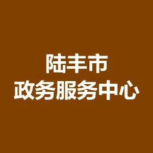 陆丰市政务服务中心