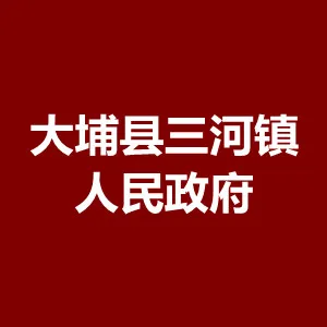 大埔县三河镇人民政府