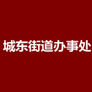 江城区城东街道办事处