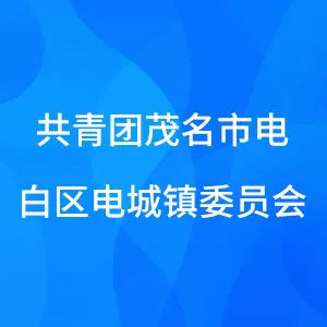 共青团茂名市电白区电城镇委员会