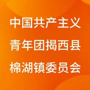 中国共产主义青年团揭阳市揭西县棉湖镇委员会
