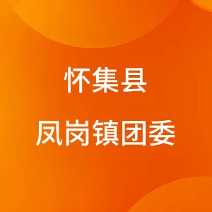 怀集县凤岗镇团委