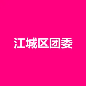 江城区团委