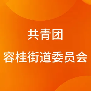 中国共产主义青年团佛山市顺德区容桂街道工作委员会