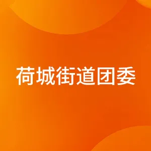中国共产主义青年团佛山市高明区荷城街道委员会