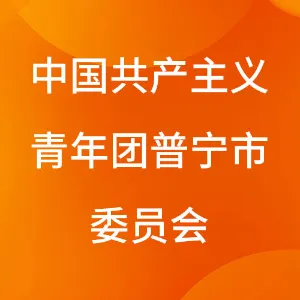 中国共产主义青年团普宁市委员会