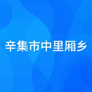 辛集市中里厢乡