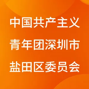 中国共产主义青年团深圳市盐田区委员会