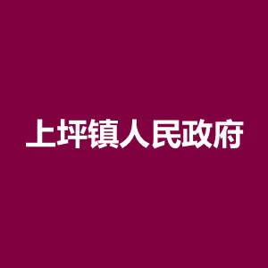 上坪镇人民政府