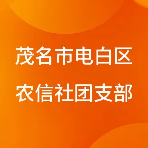 茂名市电白区农信社团支部