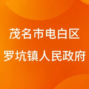 茂名市电白区罗坑镇人民政府